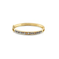 The Signature Charm Bangle - 14K Gold